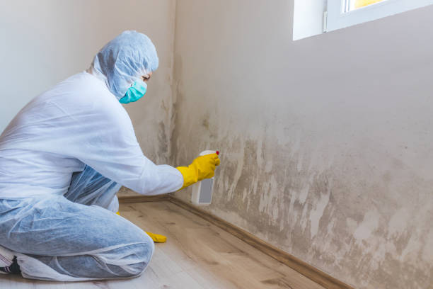 Licensed Commercial Mold Remediation service in Burlington, WA - WQB Mold Removal