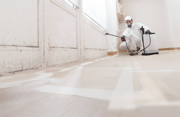 24/7 Emergency Commercial Mold Remediation experts in Burlington, WA