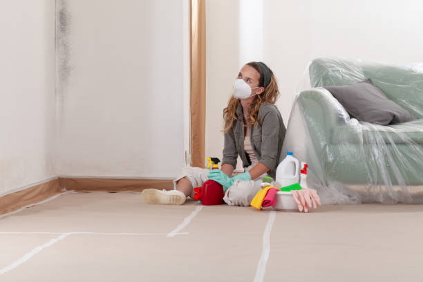 Reliable Commercial Mold Remediation contractor in Burlington, WA by WQB Mold Removal